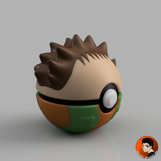 Pierre Saison 1 – Le dresseur de roche entre dans votre collection !